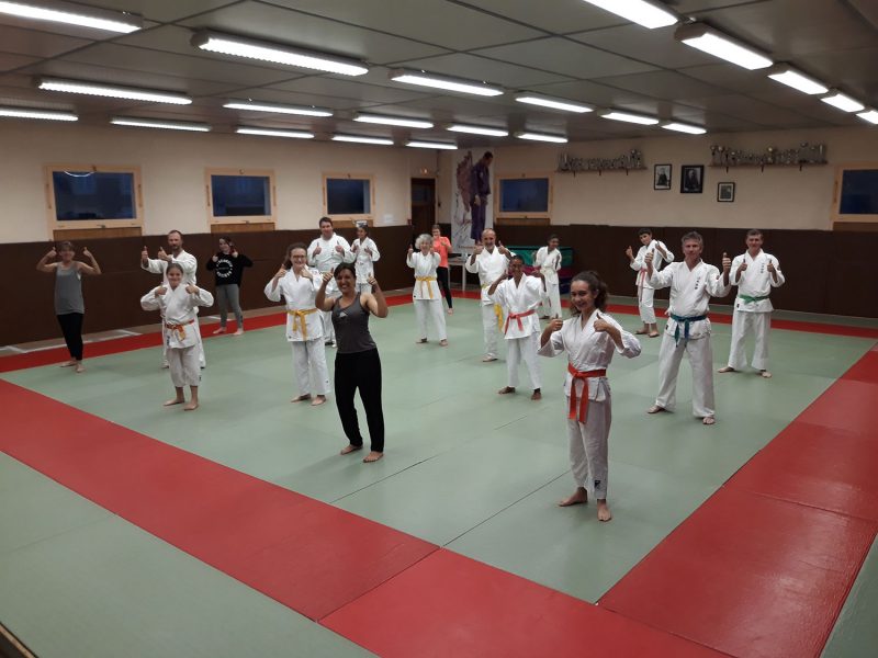 Kaizenkan avallonnais, karaté / nihon taï-jitsu