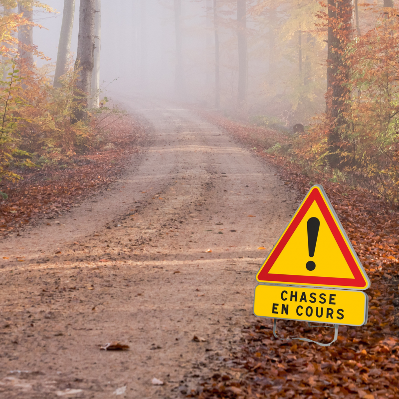 Chasse à Avallon : information importante